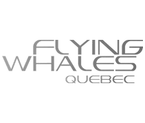 Logo noir et blanc « Flying Whales » avec une typographie épurée du nom de l’entreprise